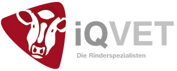 iQVET Logo